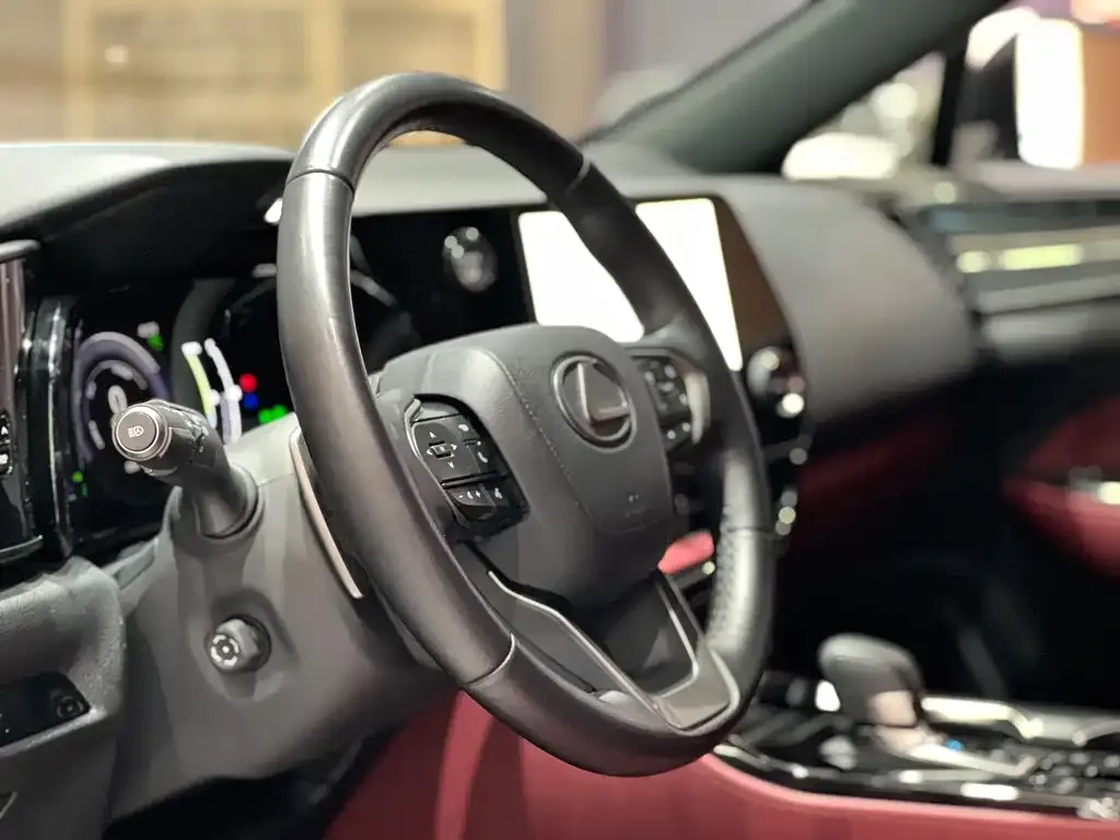 Lexus NX New Energy 2023 из CN, фото 10