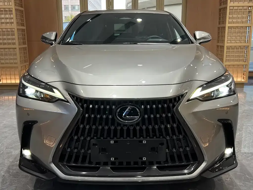 Lexus NX New Energy 2023 из CN, фото 2