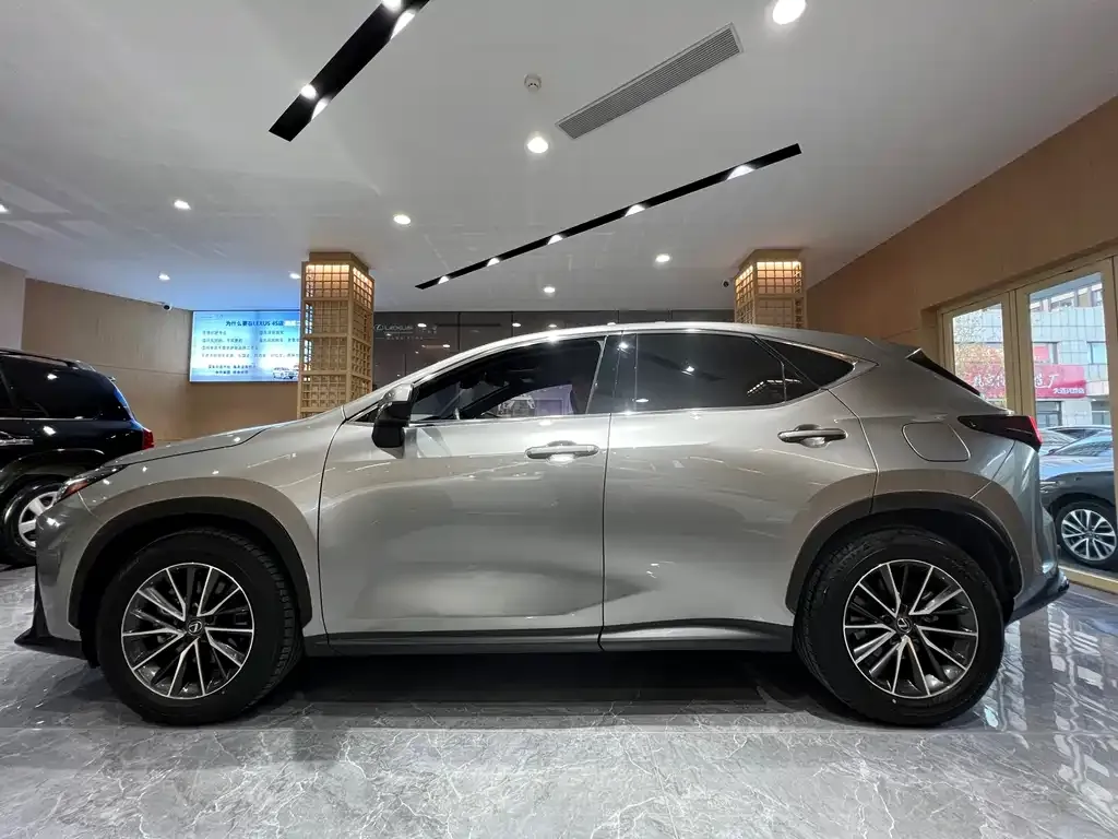Lexus NX New Energy 2023 из CN, фото 3