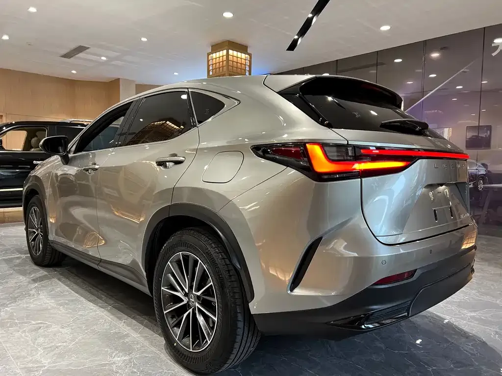 Lexus NX New Energy 2023 из CN, фото 4