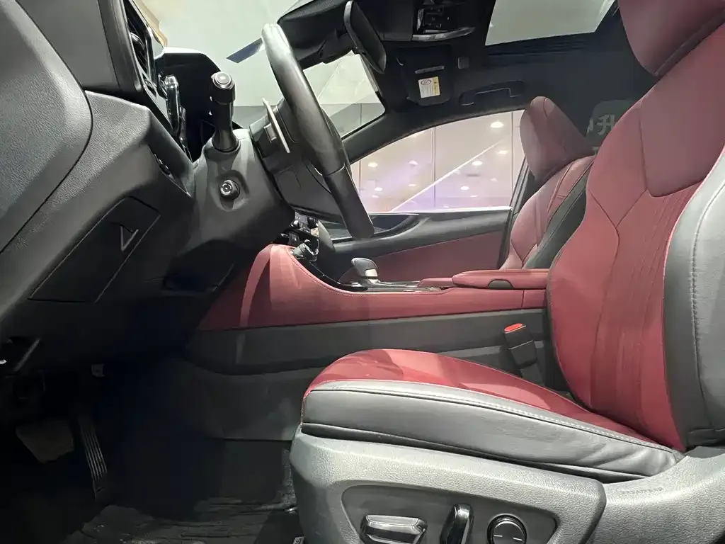 Lexus NX New Energy 2023 из CN, фото 9