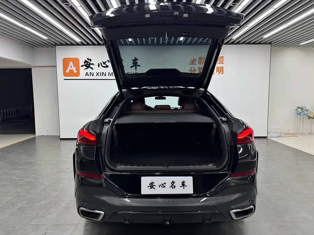 BMW X6 2021 из CN, фото 5