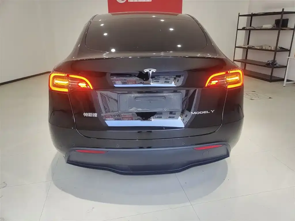Tesla Model Y 2024 из CN, фото 6