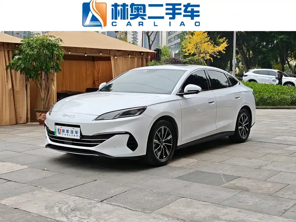 BYD Seal 06 2024 из CN, фото 1