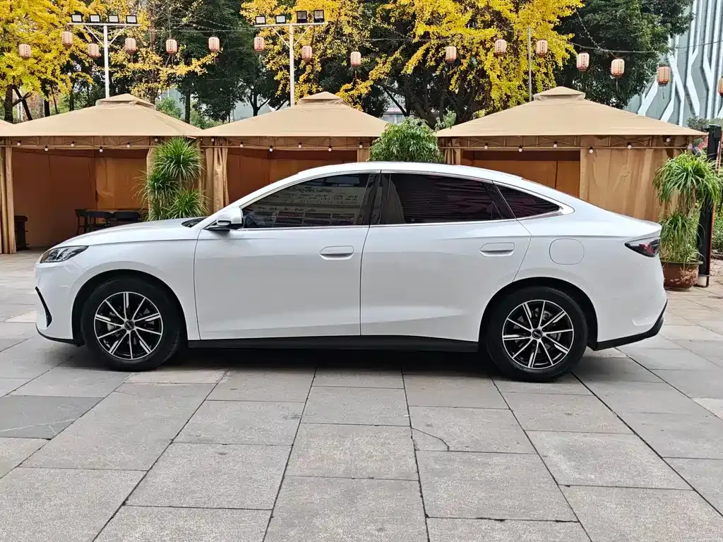 BYD Seal 06 2024 из CN, фото 8