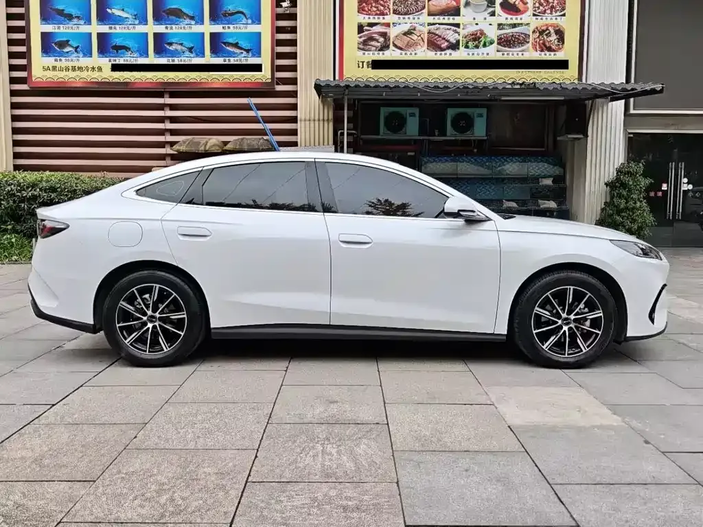 BYD Seal 06 2024 из CN, фото 9