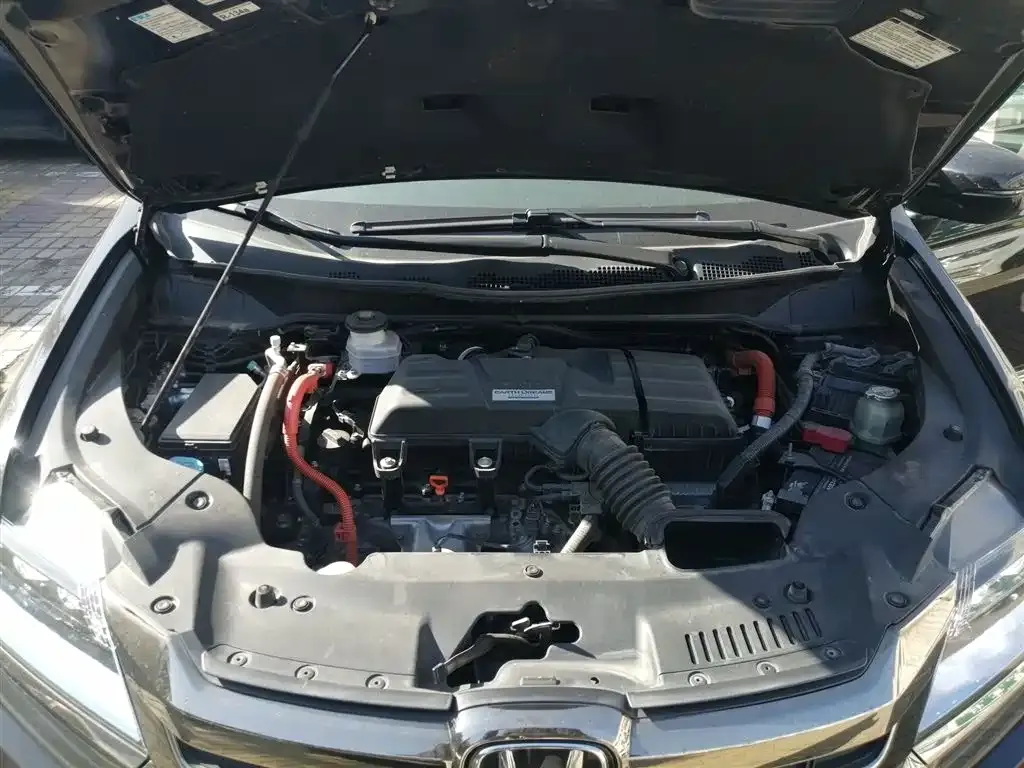 [object Object] Elysion 2021 из CN, фото 10