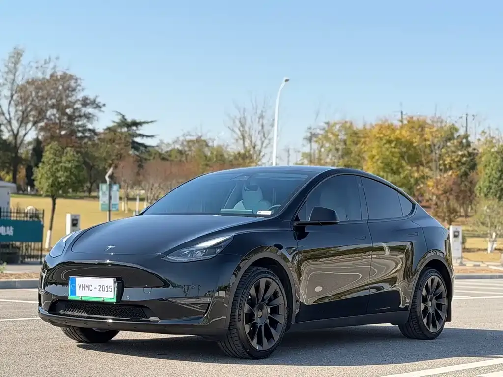 Tesla Model Y 2024 из CN, фото 1