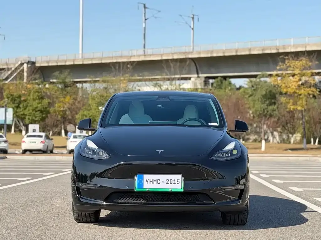 Tesla Model Y 2024 из CN, фото 2