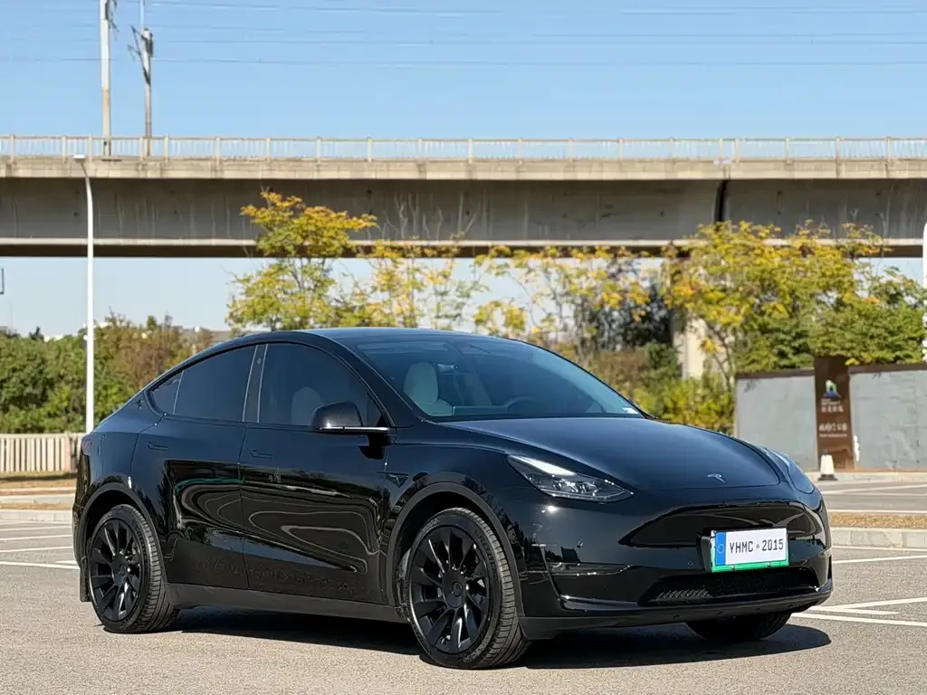 Tesla Model Y 2024 из CN, фото 3