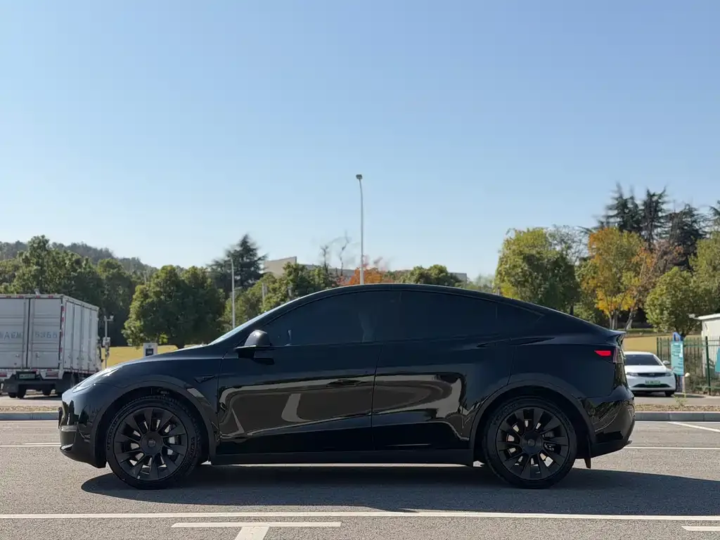 Tesla Model Y 2024 из CN, фото 4