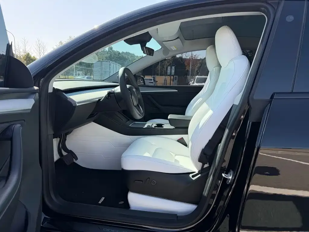 Tesla Model Y 2024 из CN, фото 5