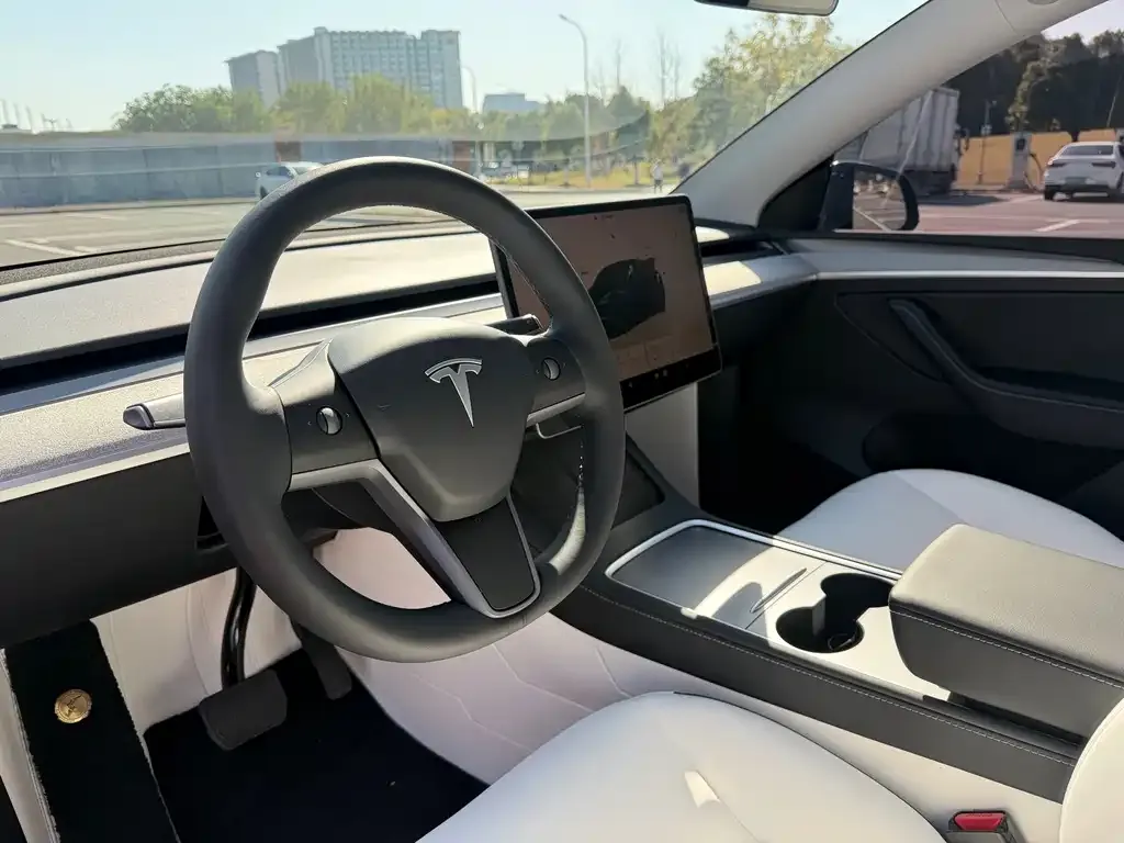Tesla Model Y 2024 из CN, фото 6