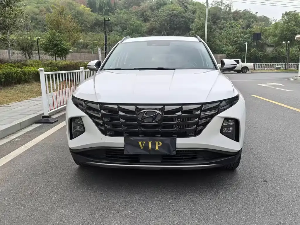 Hyundai Tucson 2023 из CN, фото 2