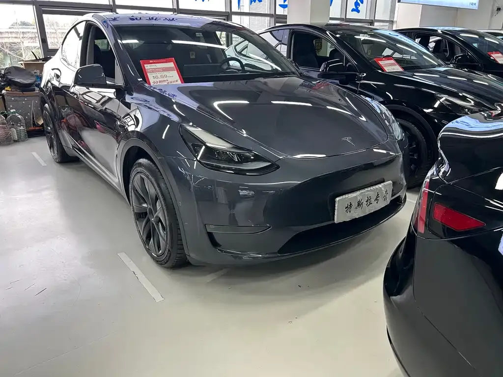 Tesla Model Y — фото 3