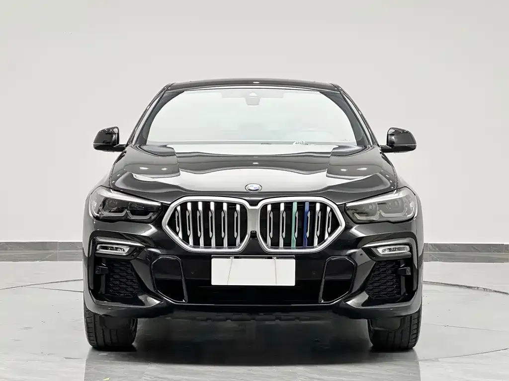 BMW X6 2021 из CN, фото 10