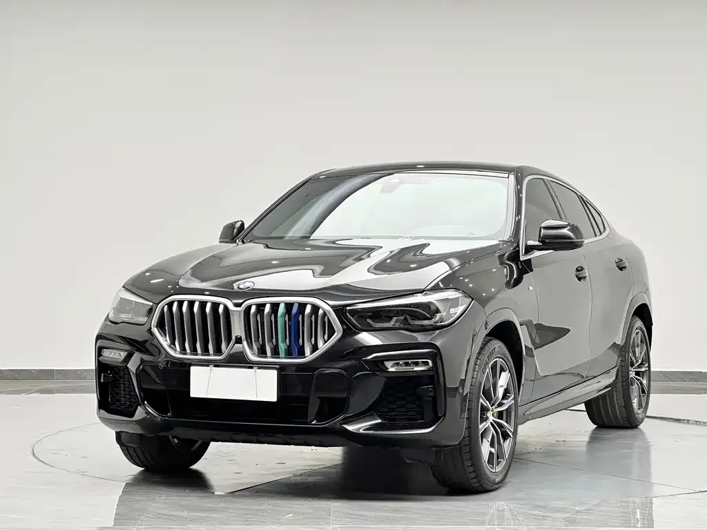 BMW X6 2021 из CN, фото 9