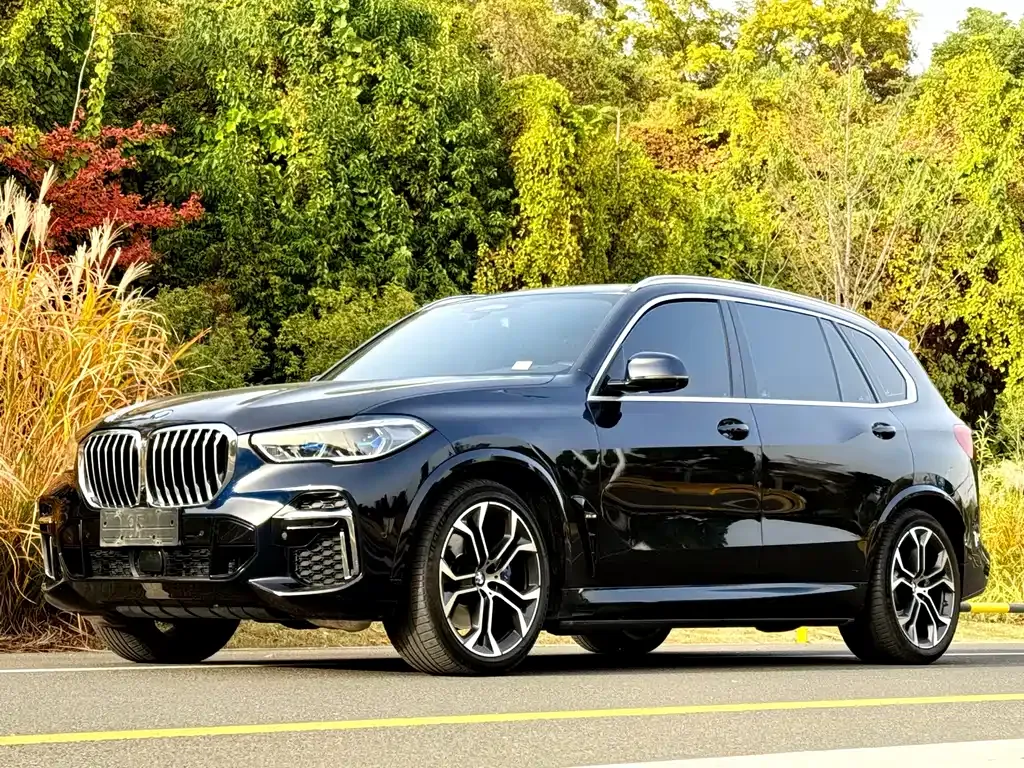 BMW X5 2023 из CN, фото 1
