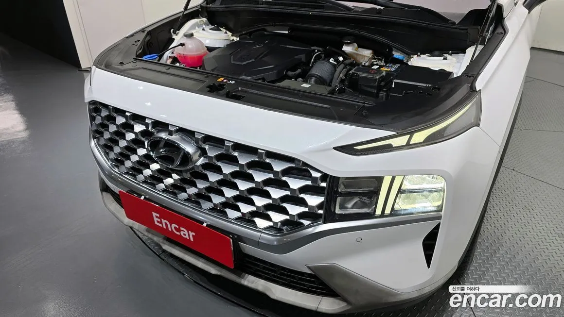 Hyundai Santafe 2021 из KR, фото 6