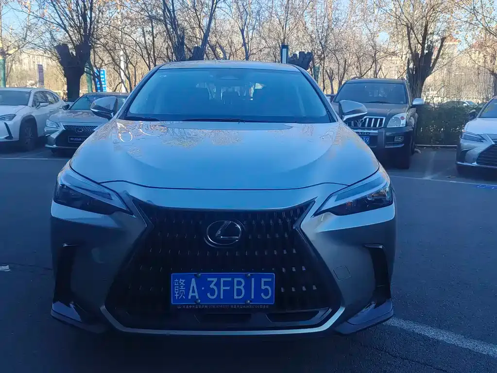Lexus NX 2023 из CN, фото 1