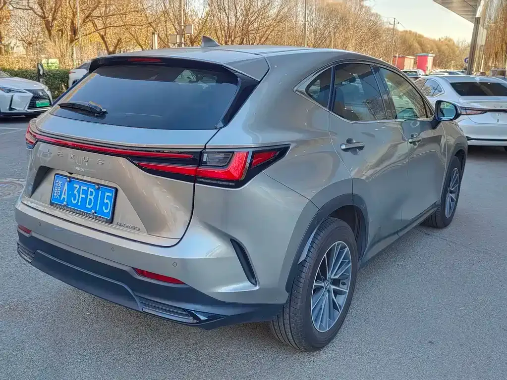 Lexus NX 2023 из CN, фото 10