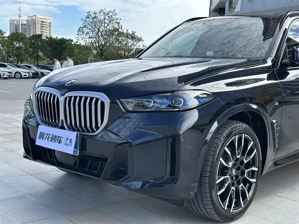BMW X5 2023 из CN, фото 2