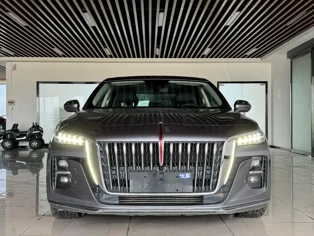 Hongqi H5 2023 из CN, фото 2