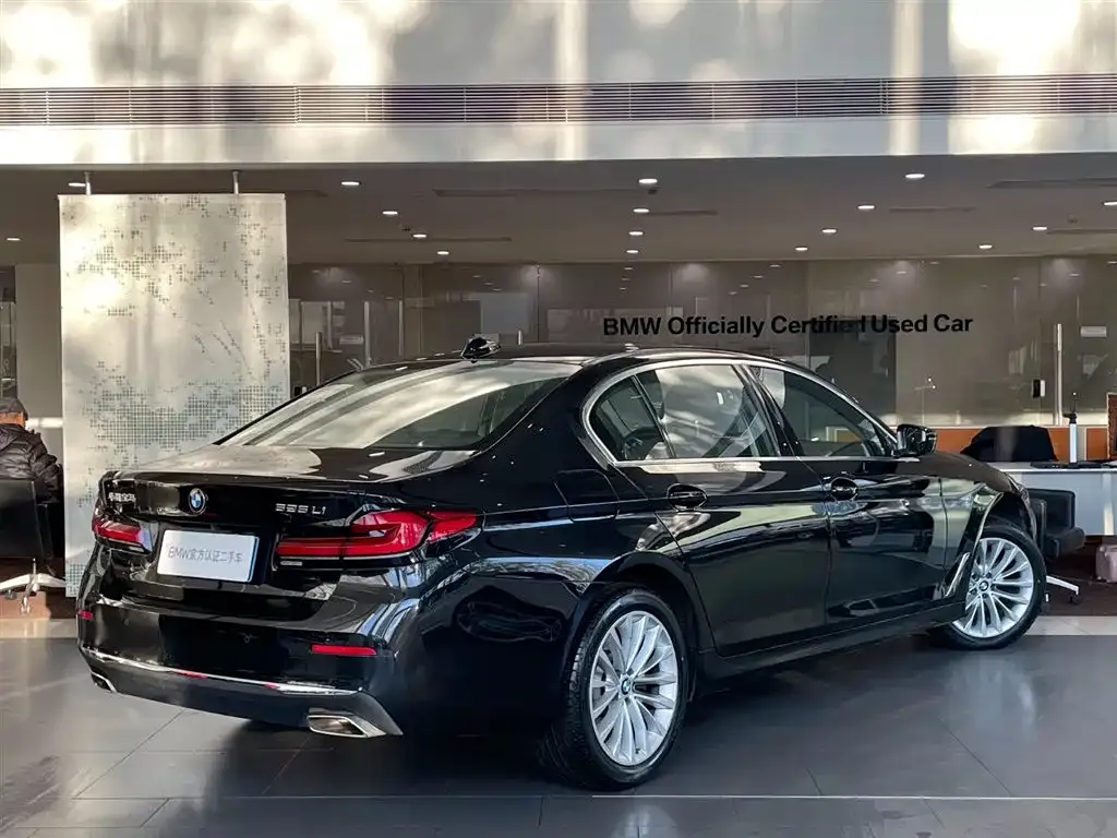 BMW 5 Series 2024 из CN, фото 4