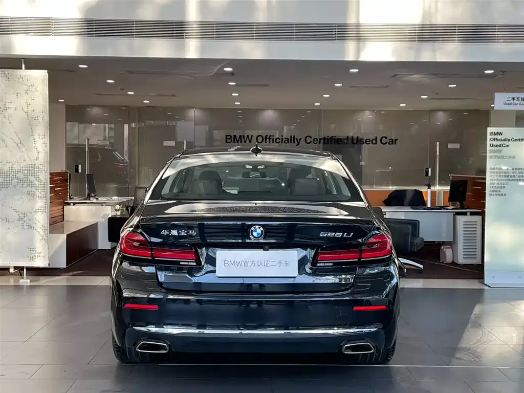 BMW 5 Series 2024 из CN, фото 5