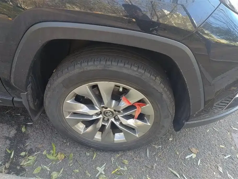 Toyota Wildlander 2021 из CN, фото 6