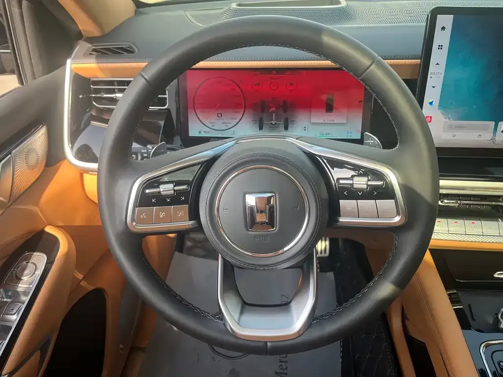 Tank 500 New Energy 2023 из CN, фото 10