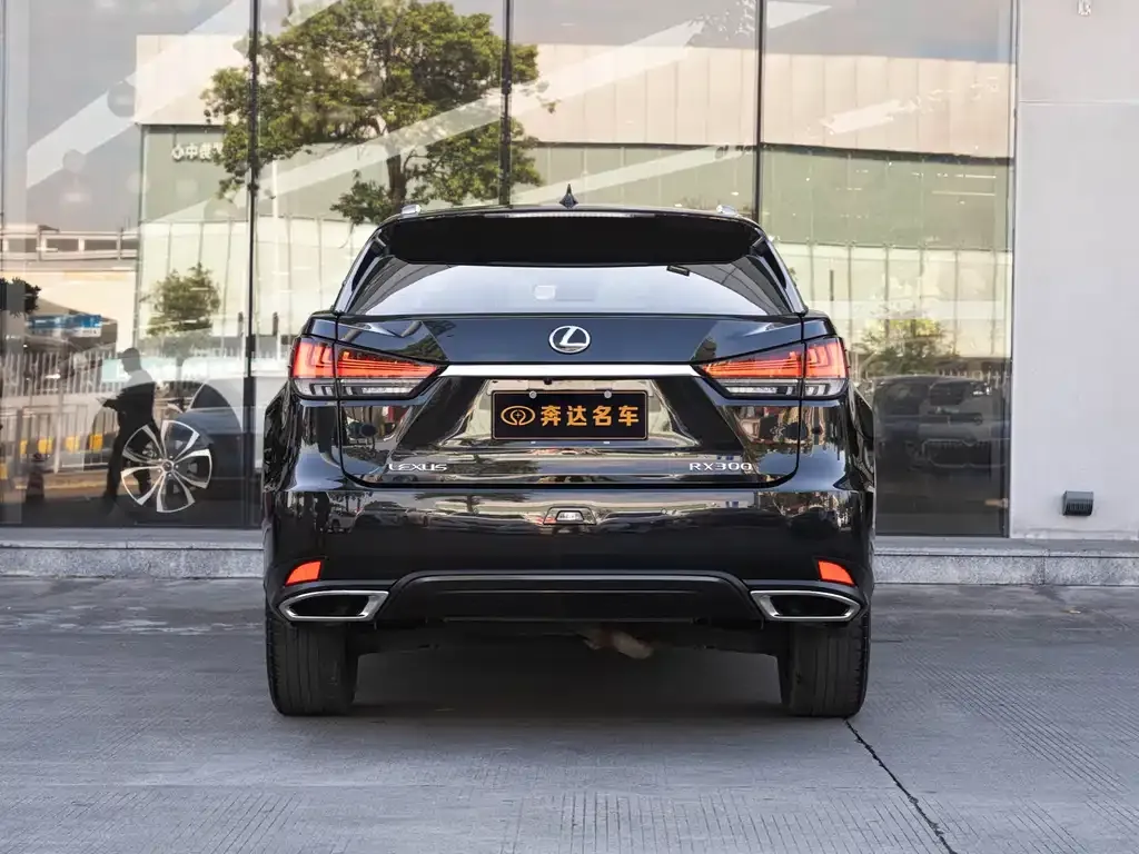Lexus RX 2022 из CN, фото 5