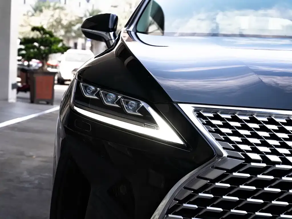 Lexus RX 2022 из CN, фото 6
