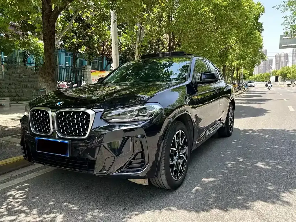BMW X4 2022 из CN, фото 1