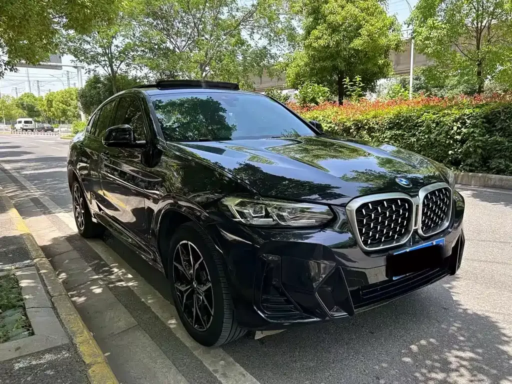 BMW X4 2022 из CN, фото 2