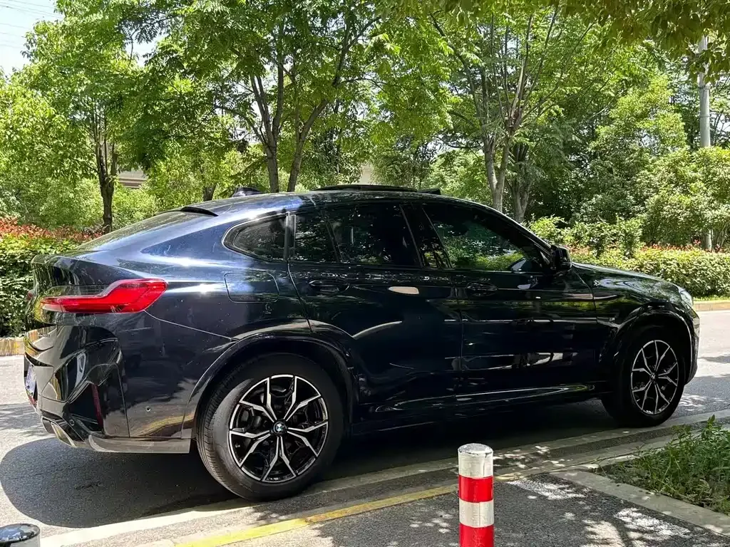 BMW X4 2022 из CN, фото 4