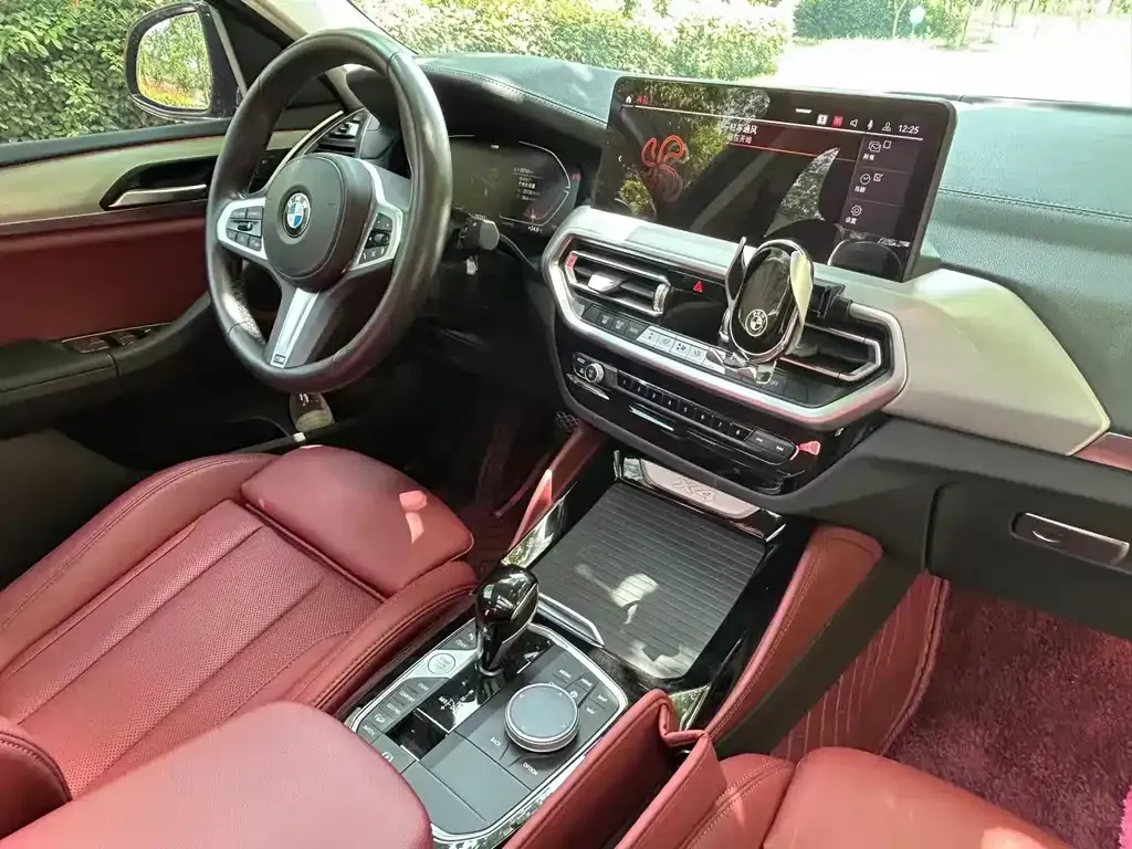 BMW X4 2022 из CN, фото 6