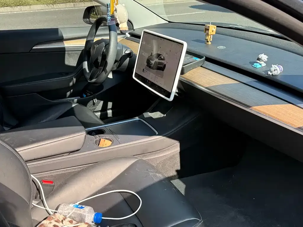 Tesla Model 3 2022 из CN, фото 5