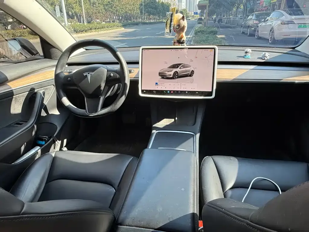 Tesla Model 3 2022 из CN, фото 7
