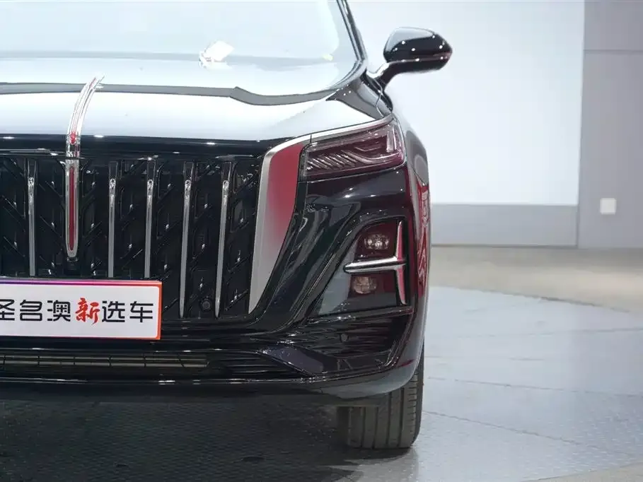 Hongqi HS5 2025 из CN, фото 5