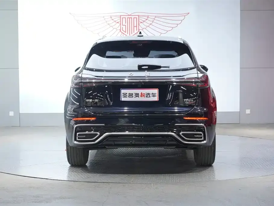 Hongqi HS5 2025 из CN, фото 6