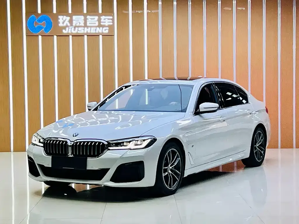 BMW 5 Series New Energy — фото 1