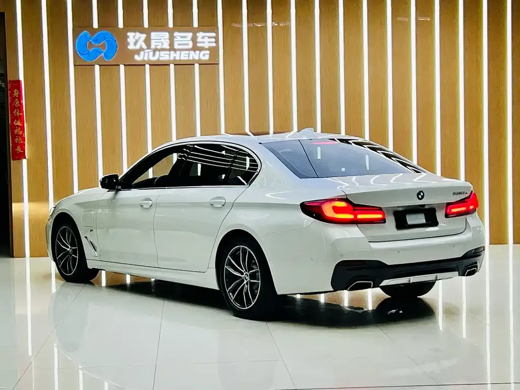 BMW 5 Series New Energy — фото 6