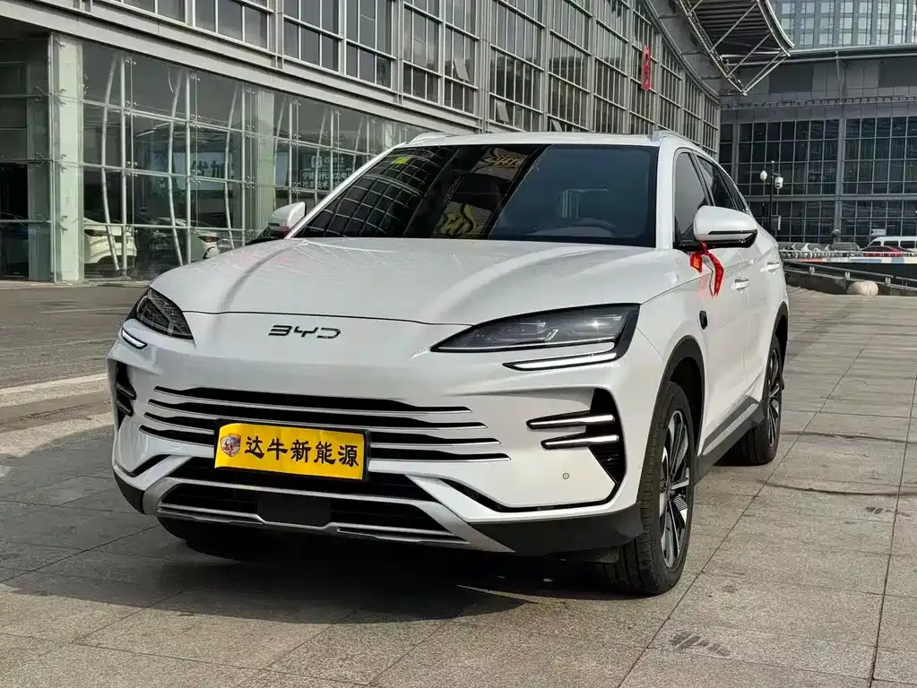 BYD PLUS New Energy — фото 1