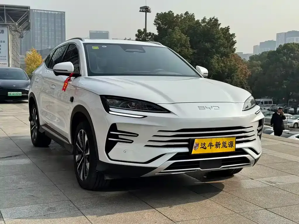 BYD PLUS New Energy — фото 2