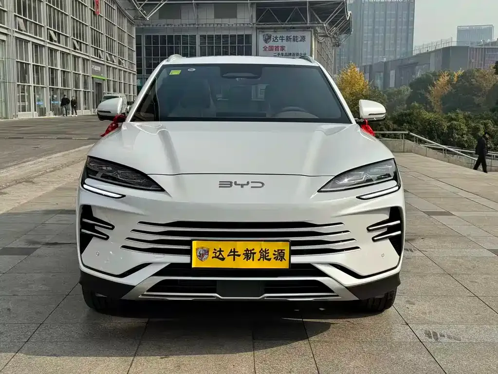 BYD PLUS New Energy — фото 3