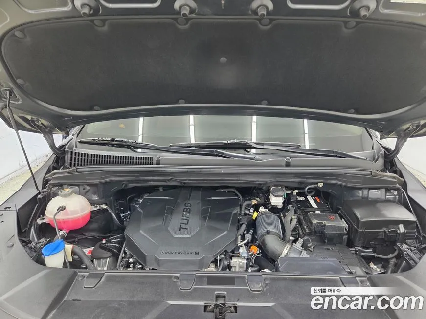 [object Object] Canival 2021 из KR, фото 6