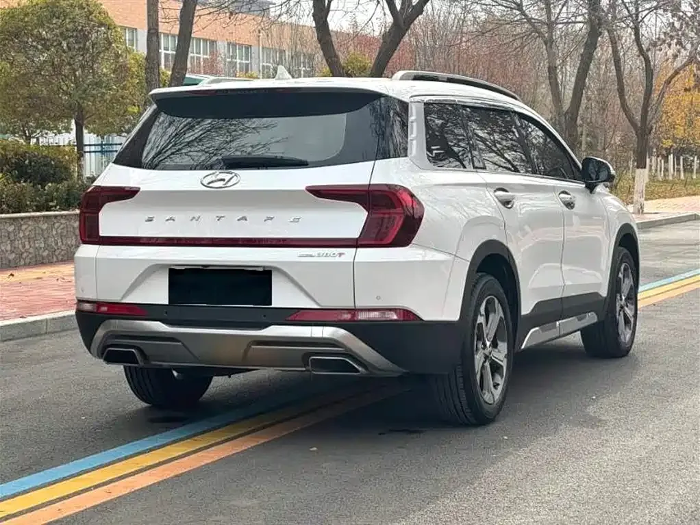 Hyundai Santa Fe 2021 из CN, фото 6