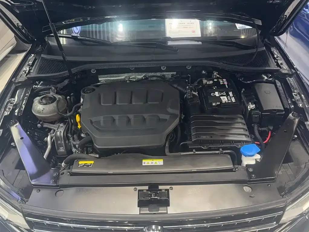 [object Object] Magotan 2024 из CN, фото 4