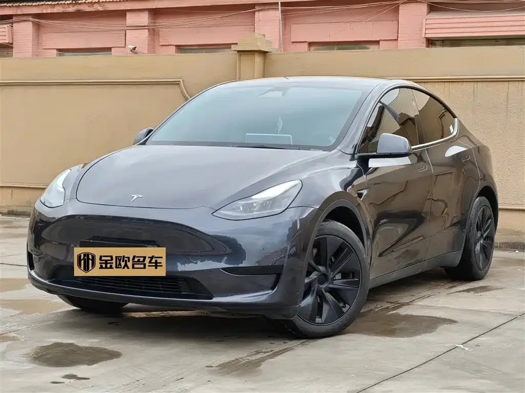 Tesla Model Y 2024 из CN, фото 1